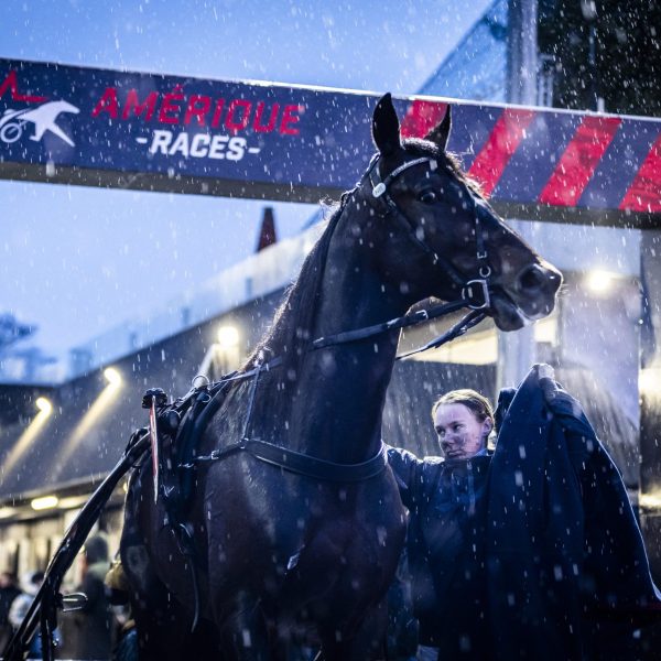 vincennes 14 12 2025